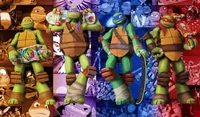 The tmnt brothers 