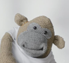 Pg Tips Monkey 