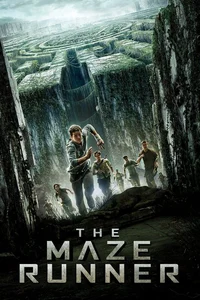 The maze runner RP