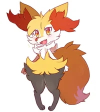 Pet Braixen