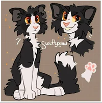 SwiftPaw