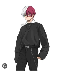 Shoto Todoroki