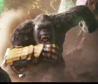 Kong 2024