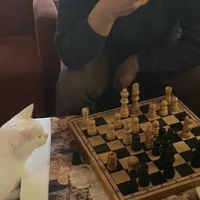 Chess Grandmaster