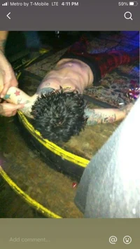 Billie Joe Armstrong