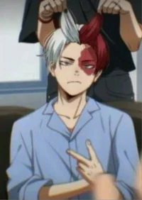 Todoroki