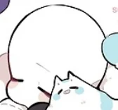 Husband Ccino Sans