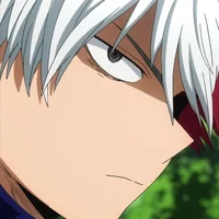 Todoroki shoto 