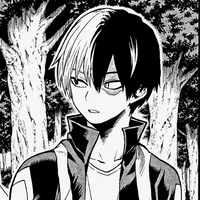 Shoto Todoroki 