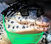 Navy Crocodile
