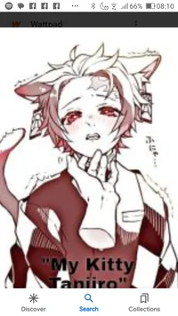 Tanjiro cat