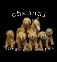 Interactive_pet