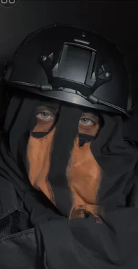 Konig