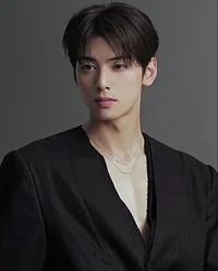Cha Eunwoo