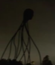 Mystery Head Walker