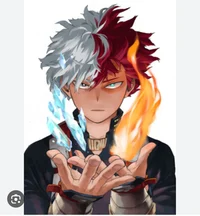 Shoto Todoroki