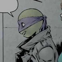 IDW Donatello