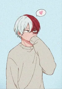Todoroki