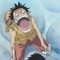 MF Luffy -Dead-