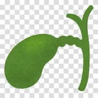 Gallbladder 