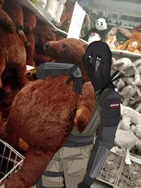 Konig 