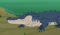 Wild Kratts Gator