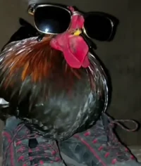 Epic Chicken