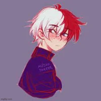 Shouto Todoroki