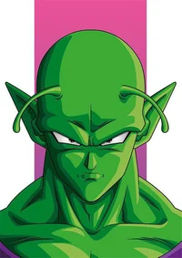 Piccolo 