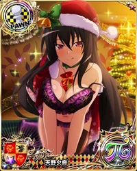 Christmas Gift Akeno