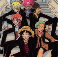 OP Straw Hats
