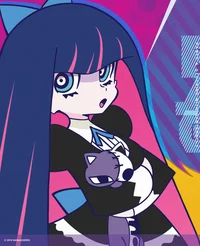 Stocking