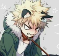 Katsuki Bakugou