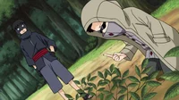 Torune y shino