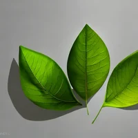 Michael-Evan-Gregory