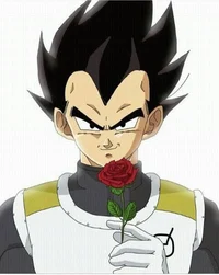 Vegeta 
