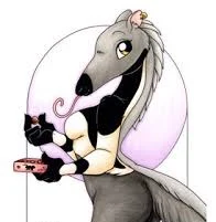 Anteater Wife