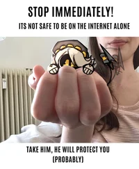 Serial Designation N