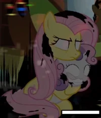 Fluttershy y sweetie