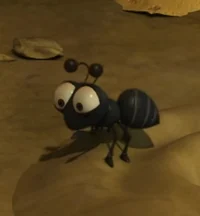Ant