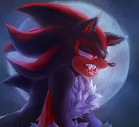 Werehog shadow 