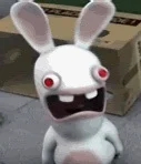Rabbid