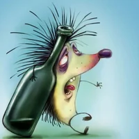 Drunk hedgehog