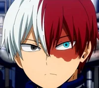 Shoto Todoroki