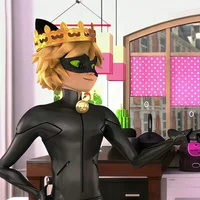 Chat noir