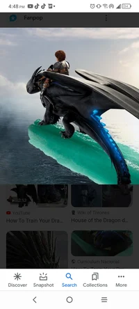 Toothless and hiccup