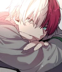 Shoto Todoroki