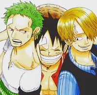 Zoro Luffy Sanji
