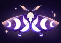 Moth
