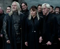 The Malfoy Family